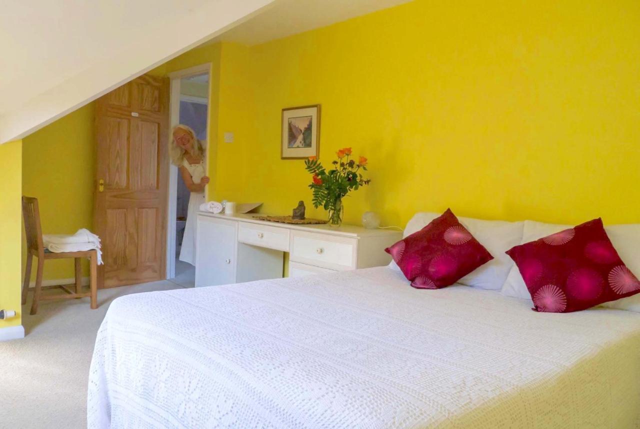 Healing Waters Sanctuary For Exclusive Private Hire And Self Catering Board, Vegetarian, Alcohol & Wifi Free Retreat In Glastonbury Kültér fotó