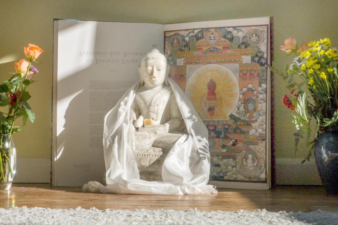 Healing Waters Sanctuary For Exclusive Private Hire And Self Catering Board, Vegetarian, Alcohol & Wifi Free Retreat In Glastonbury Kültér fotó