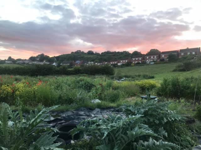 Healing Waters Sanctuary For Exclusive Private Hire And Self Catering Board, Vegetarian, Alcohol & Wifi Free Retreat In Glastonbury Kültér fotó