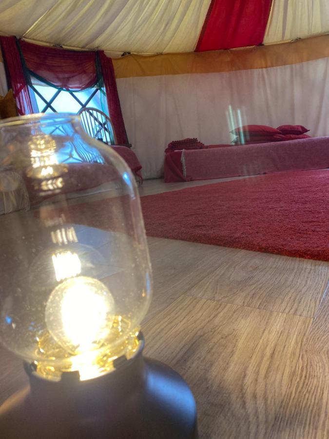 Healing Waters Sanctuary For Exclusive Private Hire And Self Catering Board, Vegetarian, Alcohol & Wifi Free Retreat In Glastonbury Kültér fotó