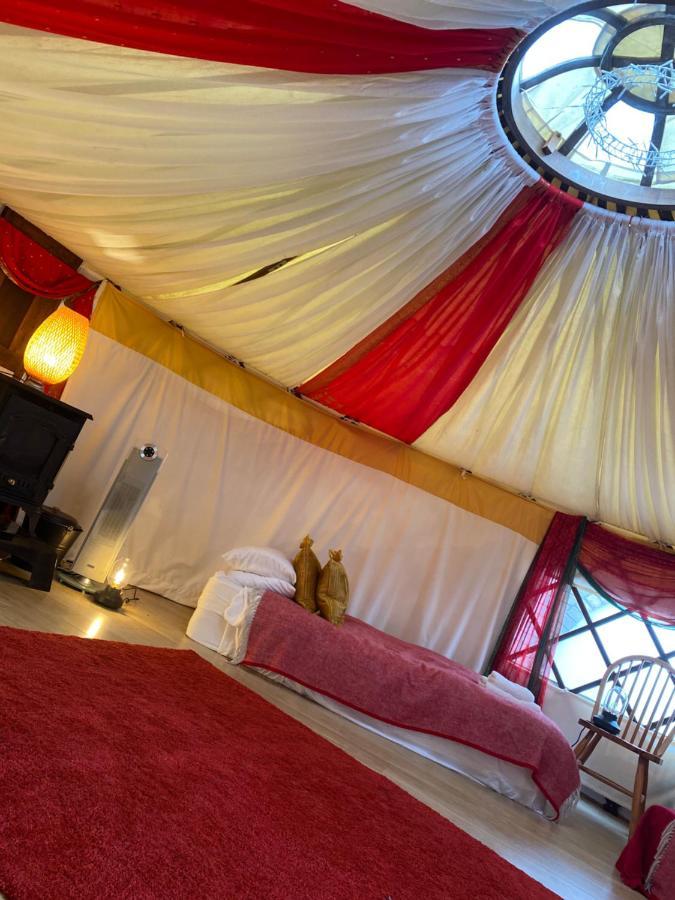 Healing Waters Sanctuary For Exclusive Private Hire And Self Catering Board, Vegetarian, Alcohol & Wifi Free Retreat In Glastonbury Kültér fotó