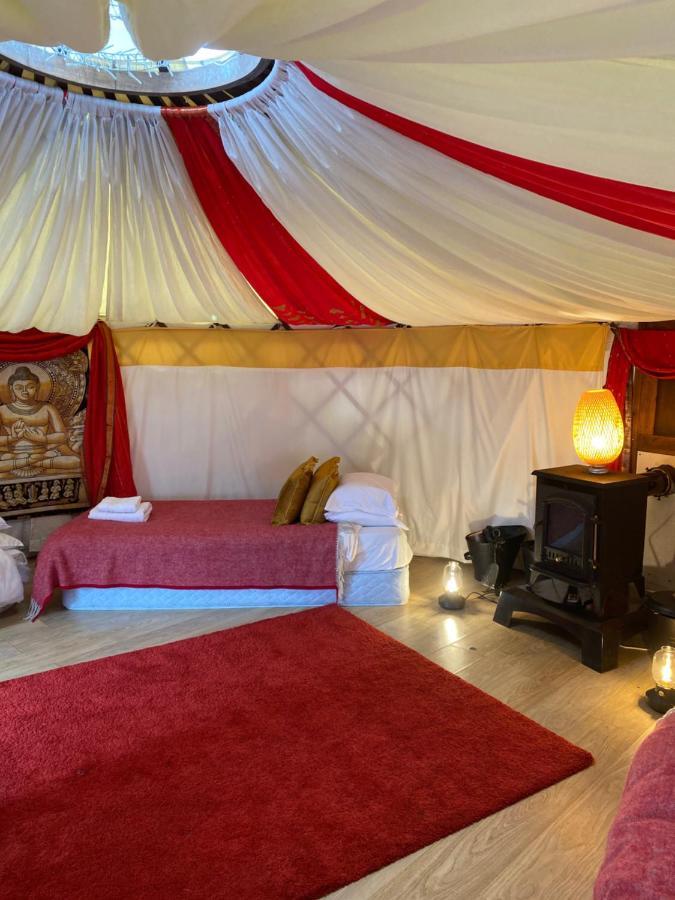 Healing Waters Sanctuary For Exclusive Private Hire And Self Catering Board, Vegetarian, Alcohol & Wifi Free Retreat In Glastonbury Kültér fotó