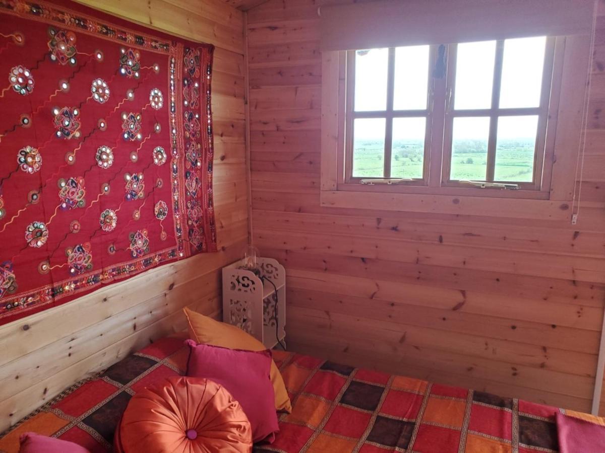 Healing Waters Sanctuary For Exclusive Private Hire And Self Catering Board, Vegetarian, Alcohol & Wifi Free Retreat In Glastonbury Kültér fotó